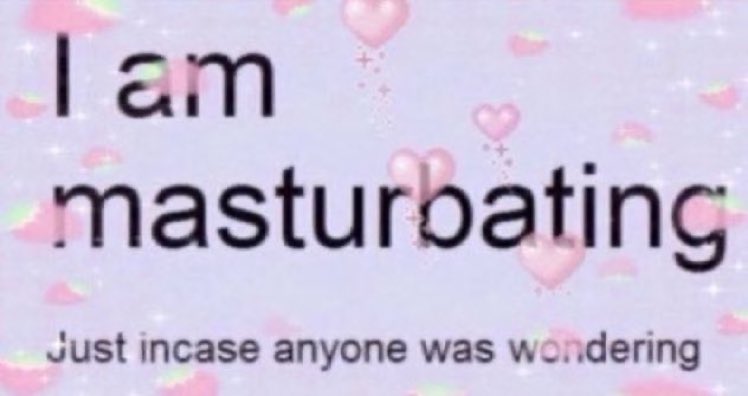 meme lover but which one tweet media