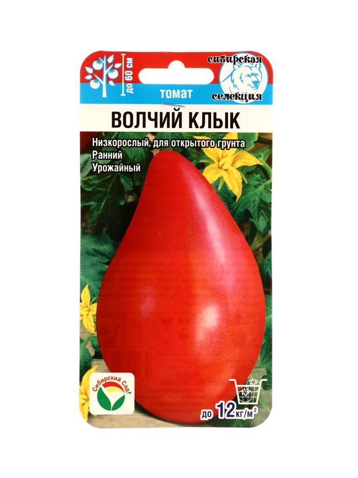 Брюс 🚀 tweet media