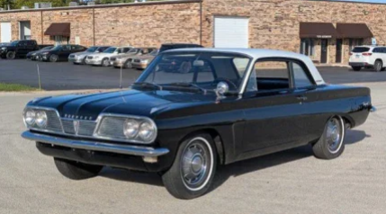 Quality Classics tweet media