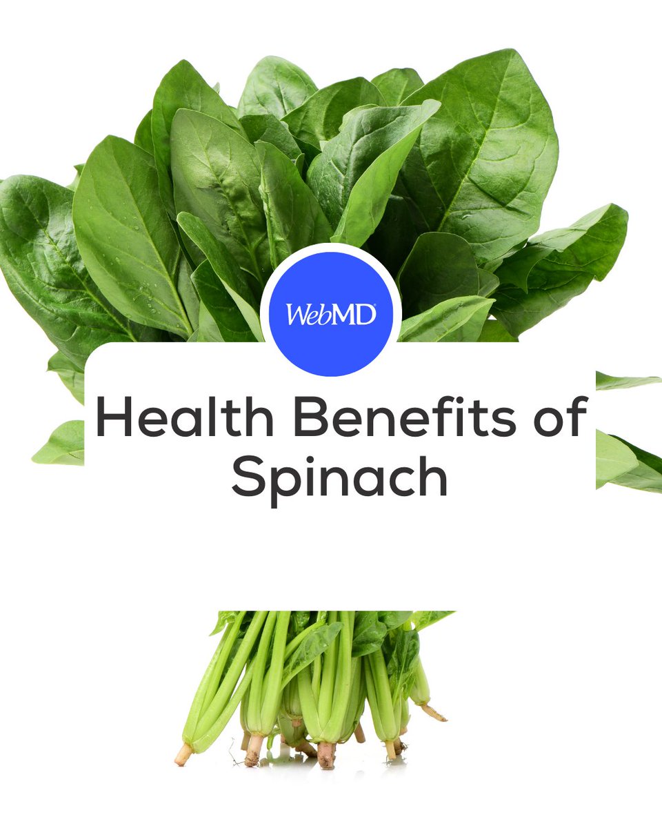 菠菜富含叶黄素有助预防黄斑变性与白内障守护眼部健康 - 1