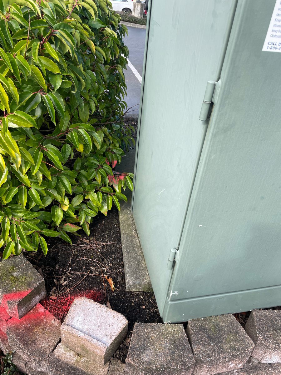 Michelle tweet media