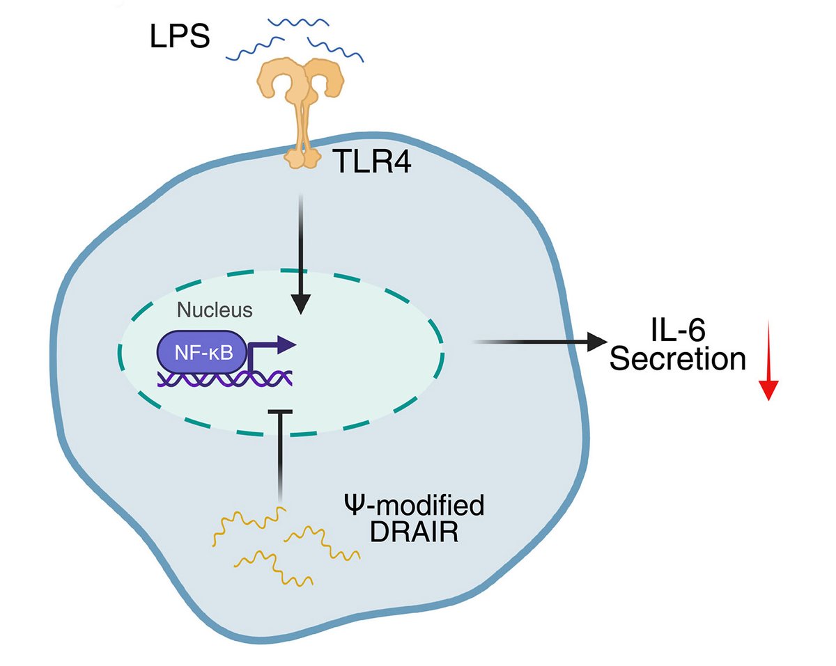 Science Signaling tweet media