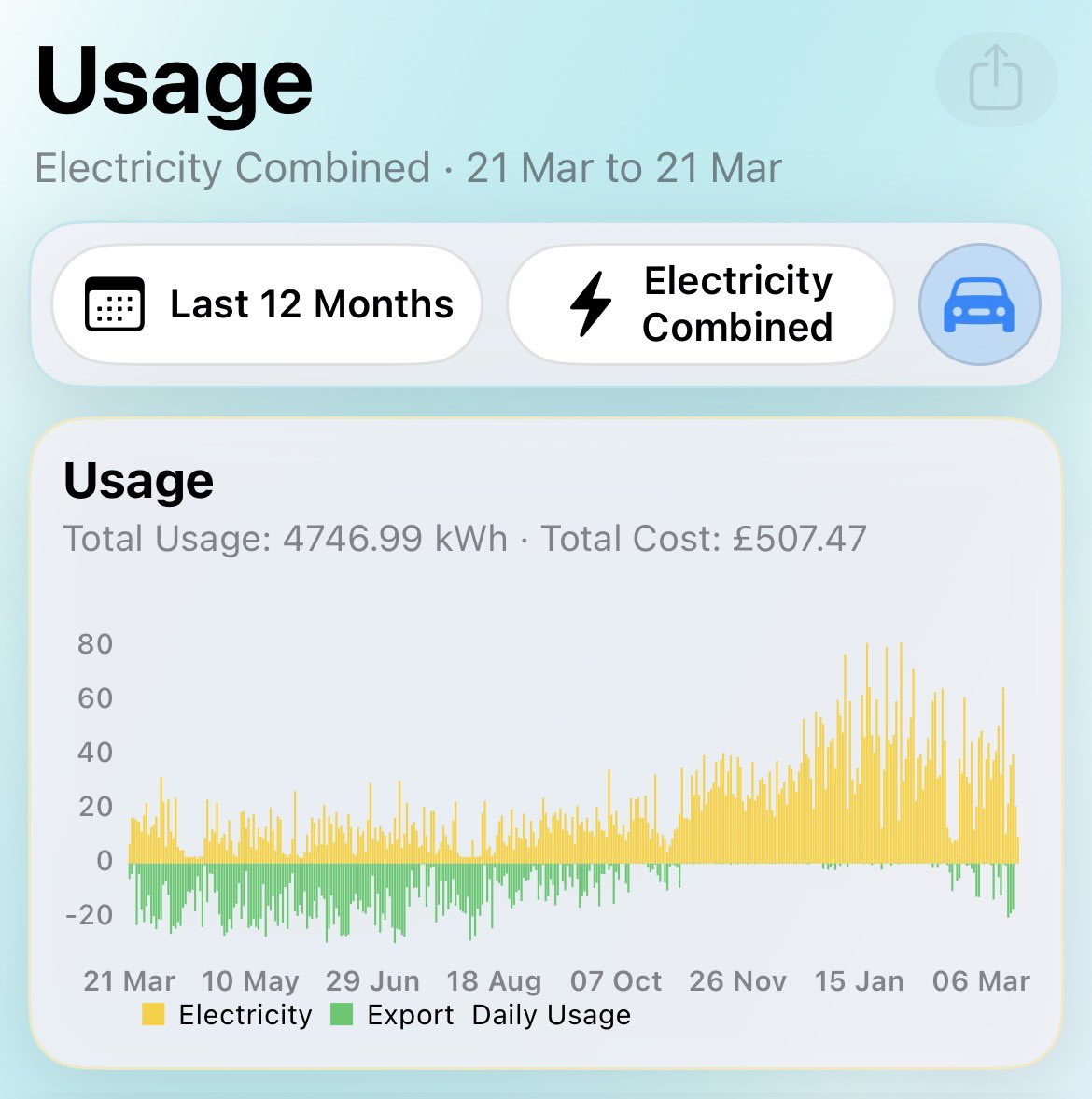 wobbegong tweet media