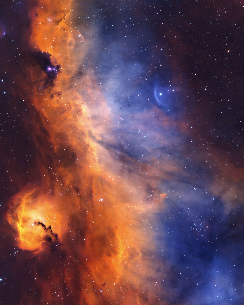 AstroBin.com tweet media