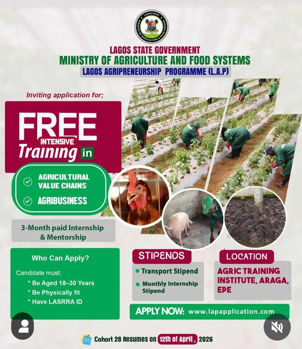 akinwale_cfi's tweet photo. ITS FREE FROM LAGOS STATE GOVERNMENT https://t.co/TYyeH9VvRX