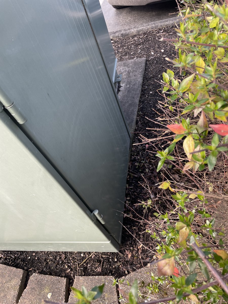 Michelle tweet media