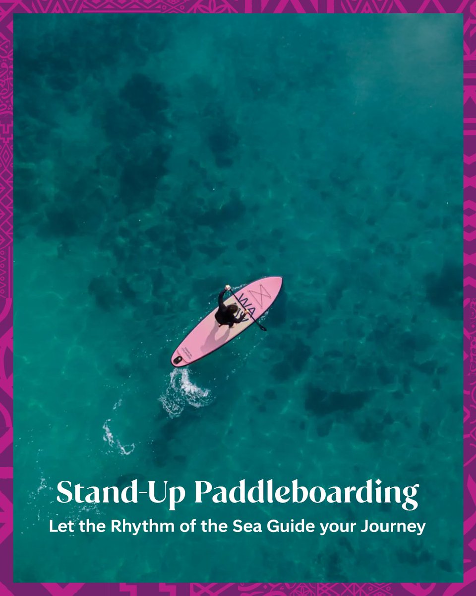 Visit Saudi tweet media