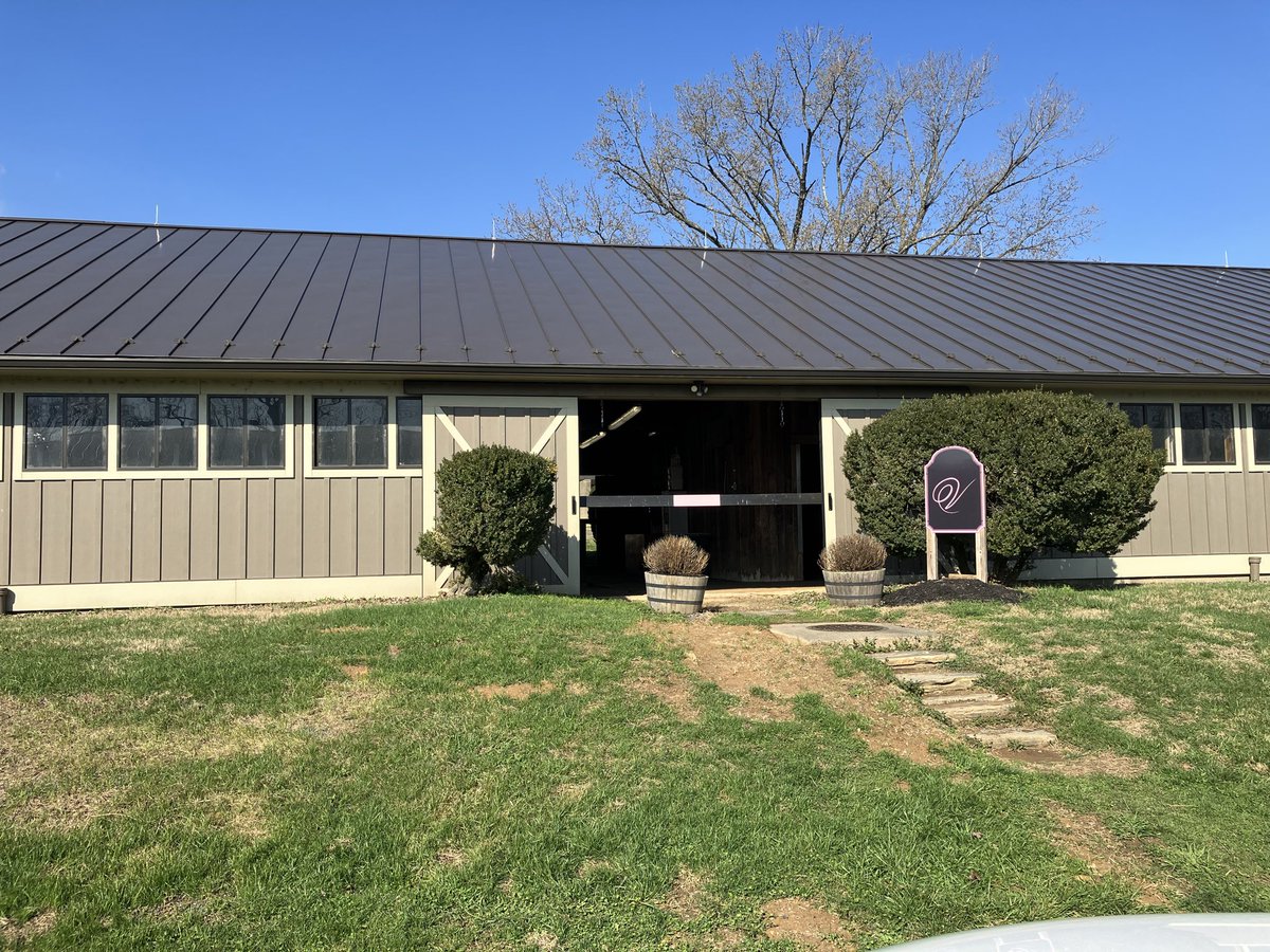 RayColevas🐎🐎 tweet media