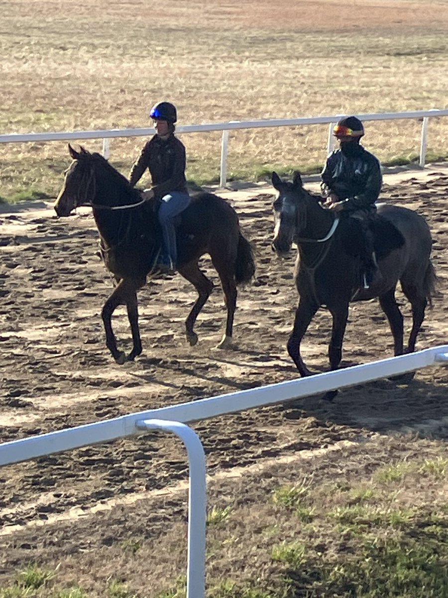 RayColevas🐎🐎 tweet media