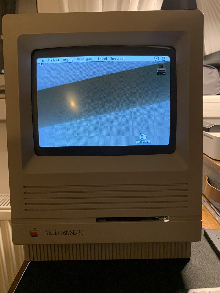 freesofia tweet media