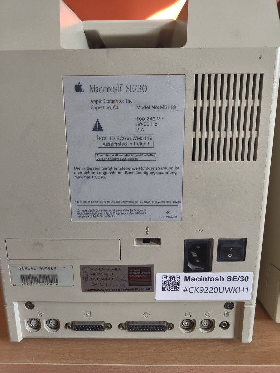 freesofia tweet media