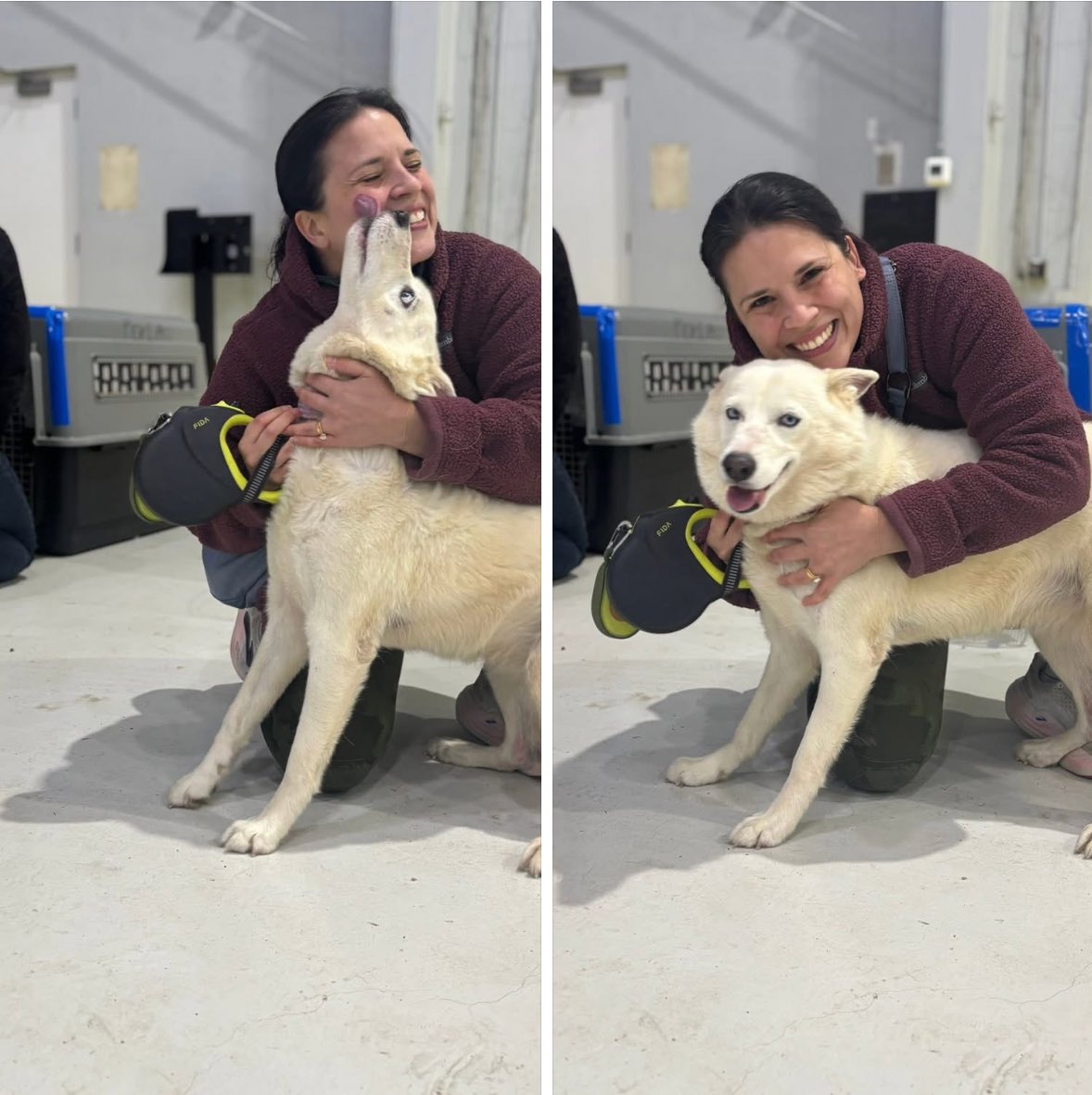 TheSatoProject tweet media