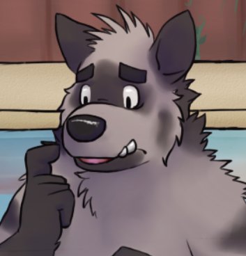 Sean 📷 tweet media