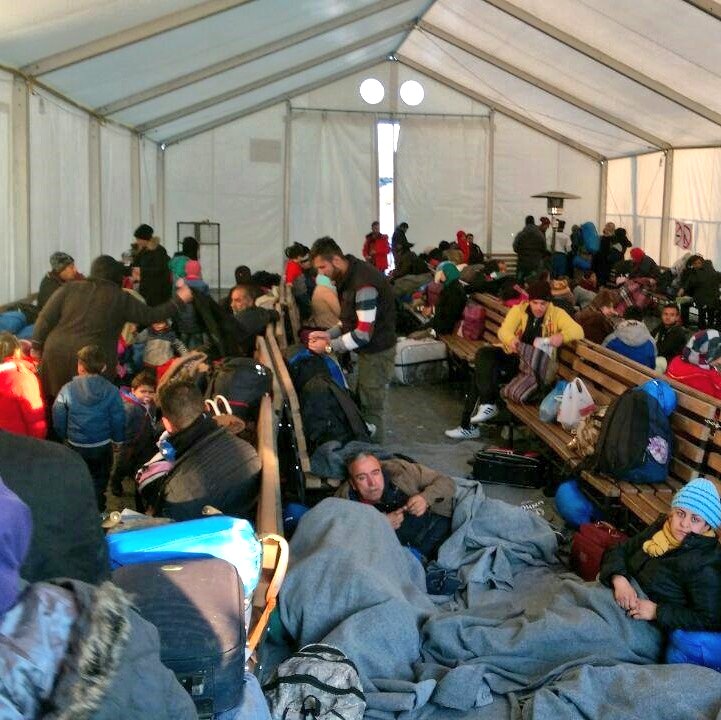 شاهین طیّار tweet media