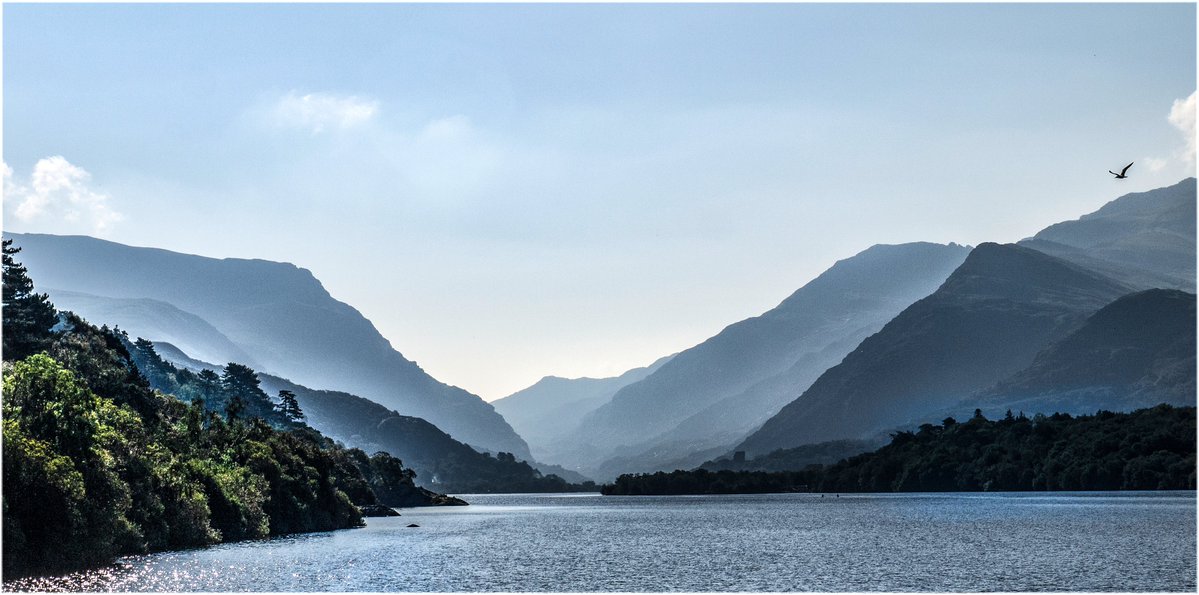 Richard Jones tweet media