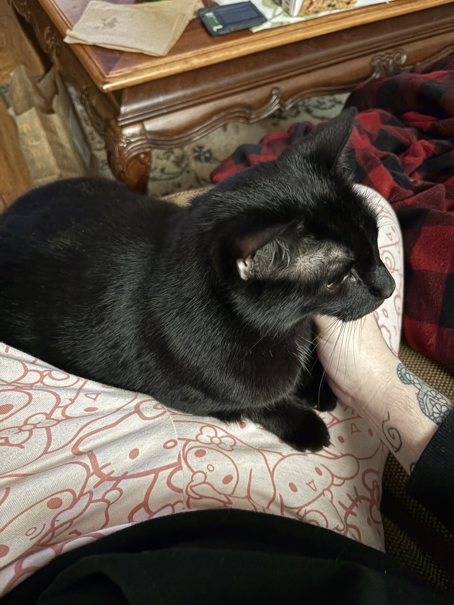 𝖌𝖜𝖊𝖓𝖉𝖔𝖑𝖞𝖓 tweet media