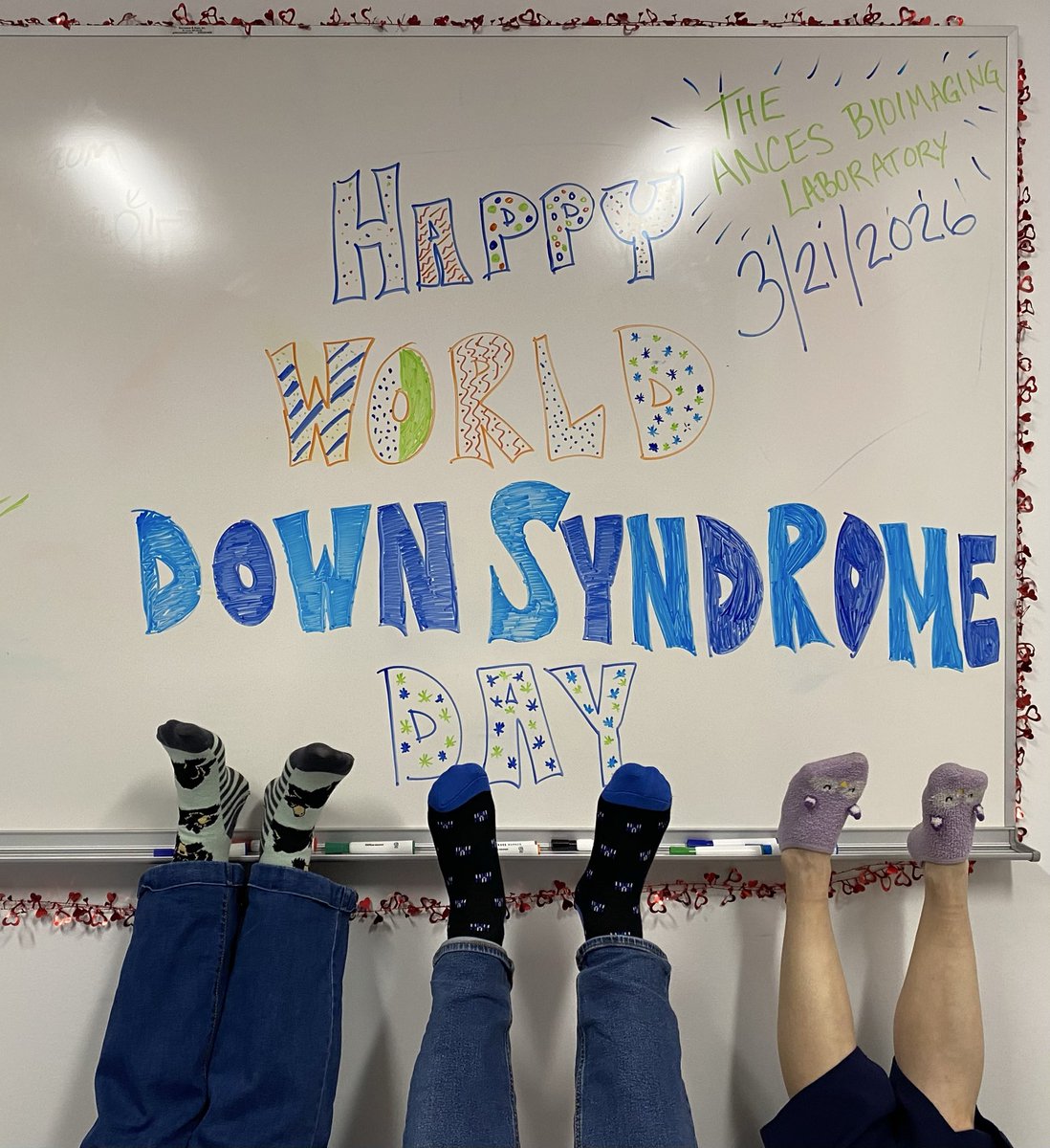 Ances BioImaging Laboratory tweet media