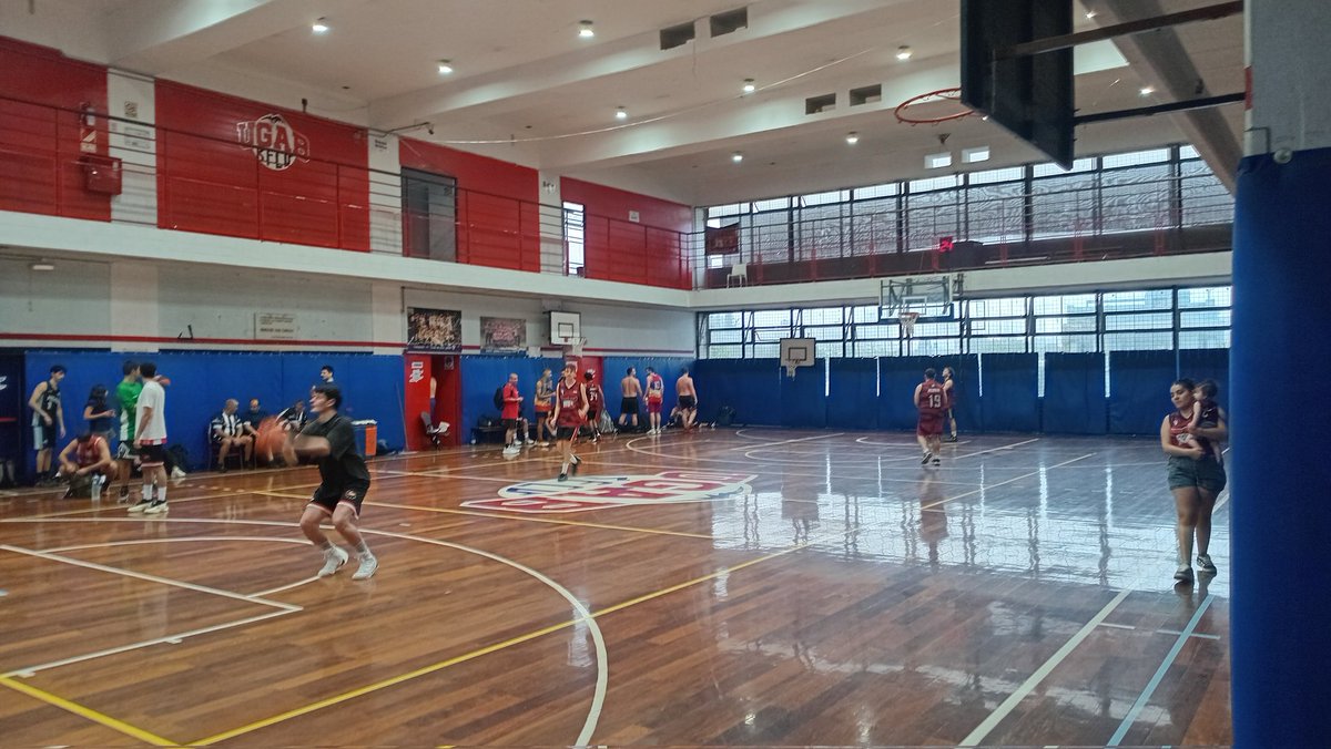 alejandro m ayelo tweet media