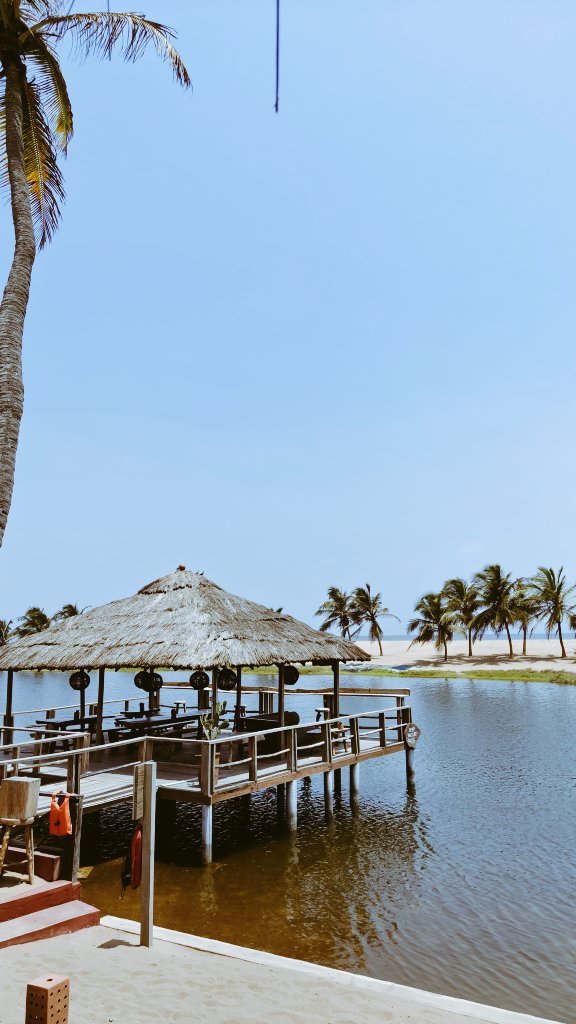 Scanty SZN tweet media