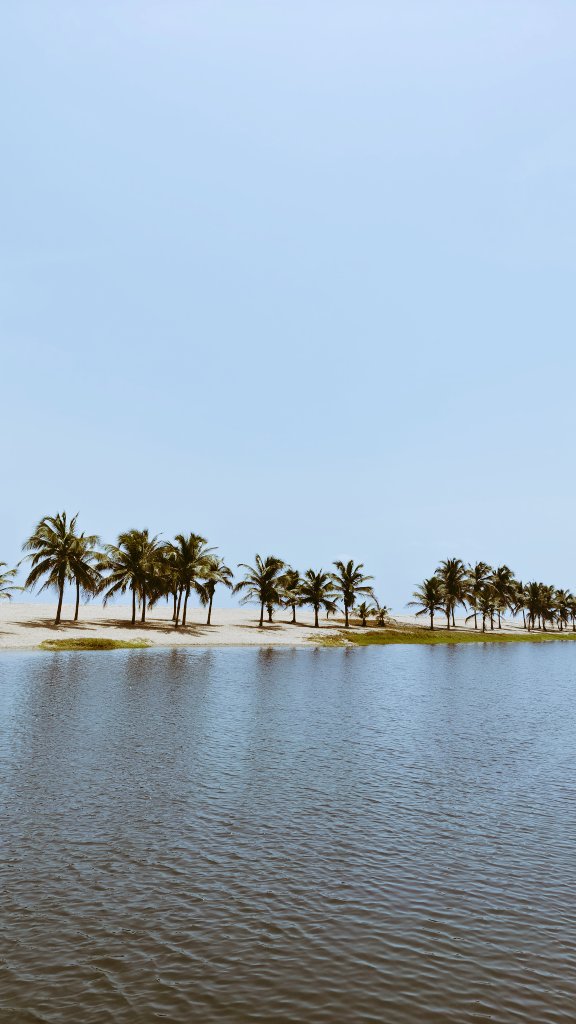 Scanty SZN tweet media