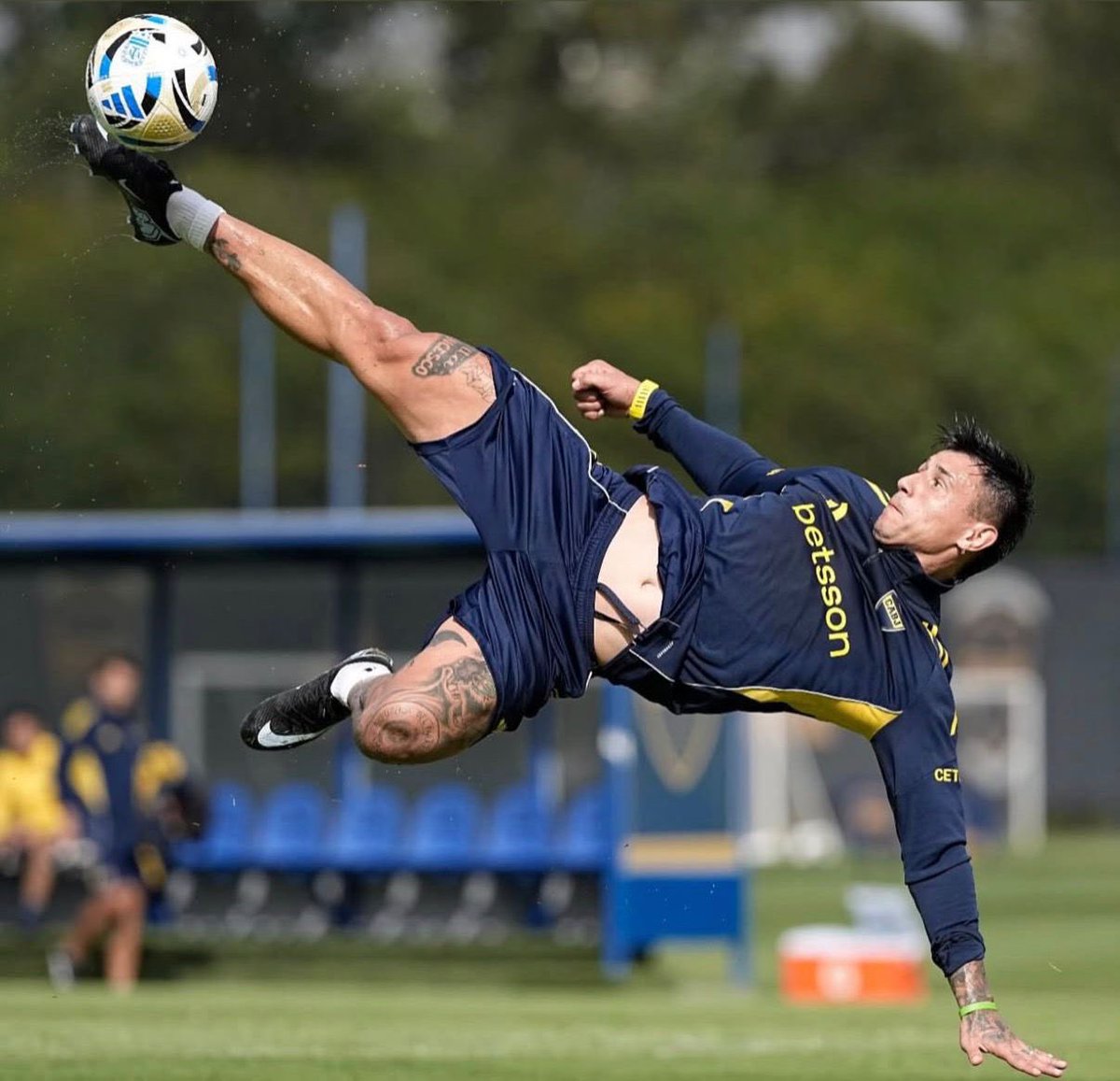 Leo Arias tweet media