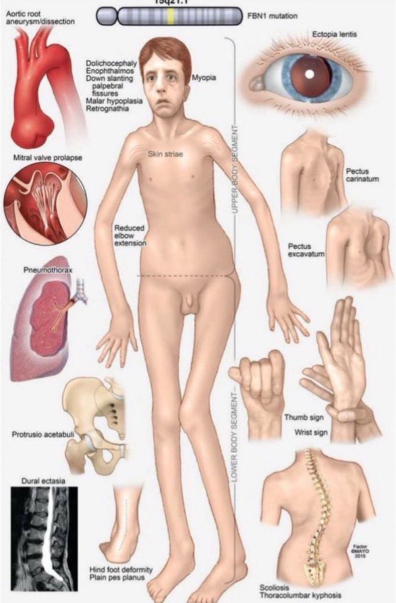 dominica (taylor’s version)🤍 tweet media