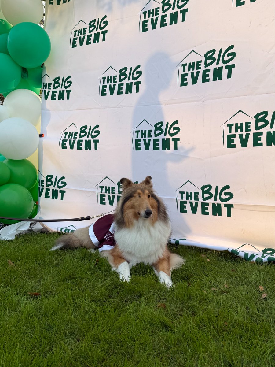 Reveille X tweet media