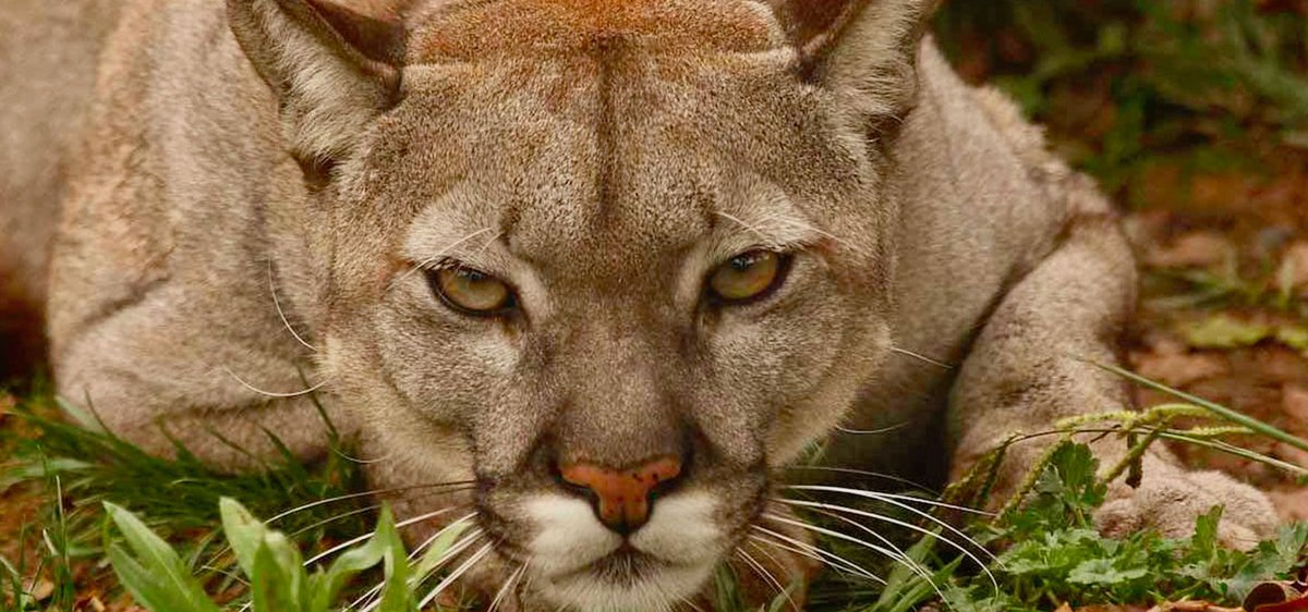 VisitBiscay tweet media