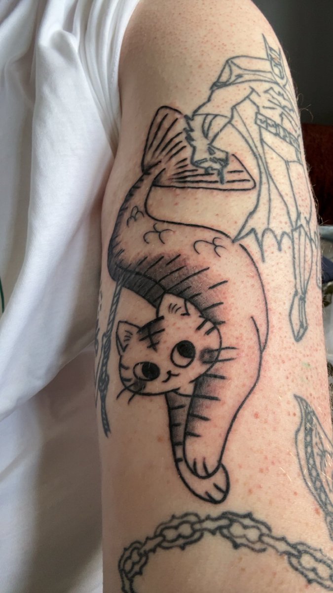 Mr Forster tweet media