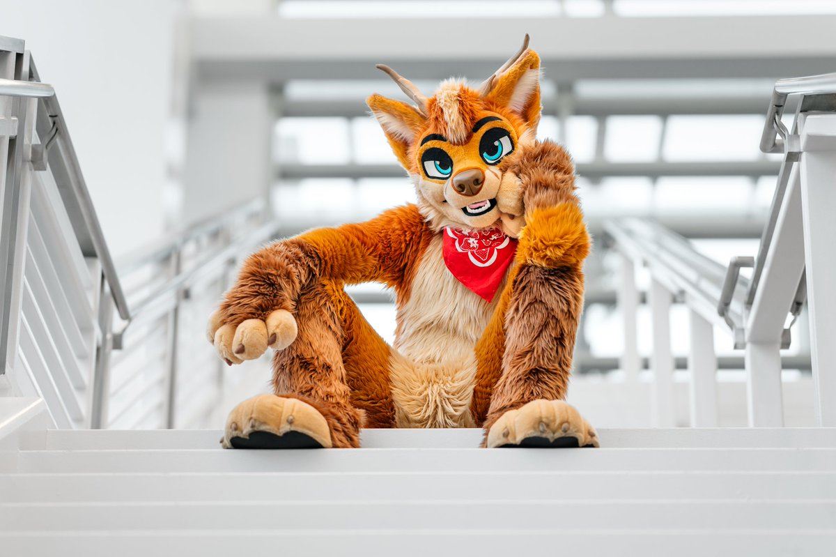 Crow Creations Fur-tography! 🔜 NFC! tweet media