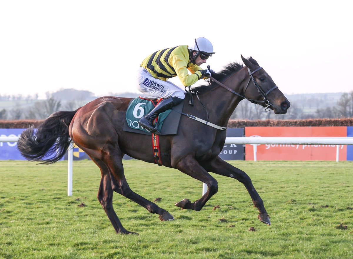 Willie Mullins tweet media