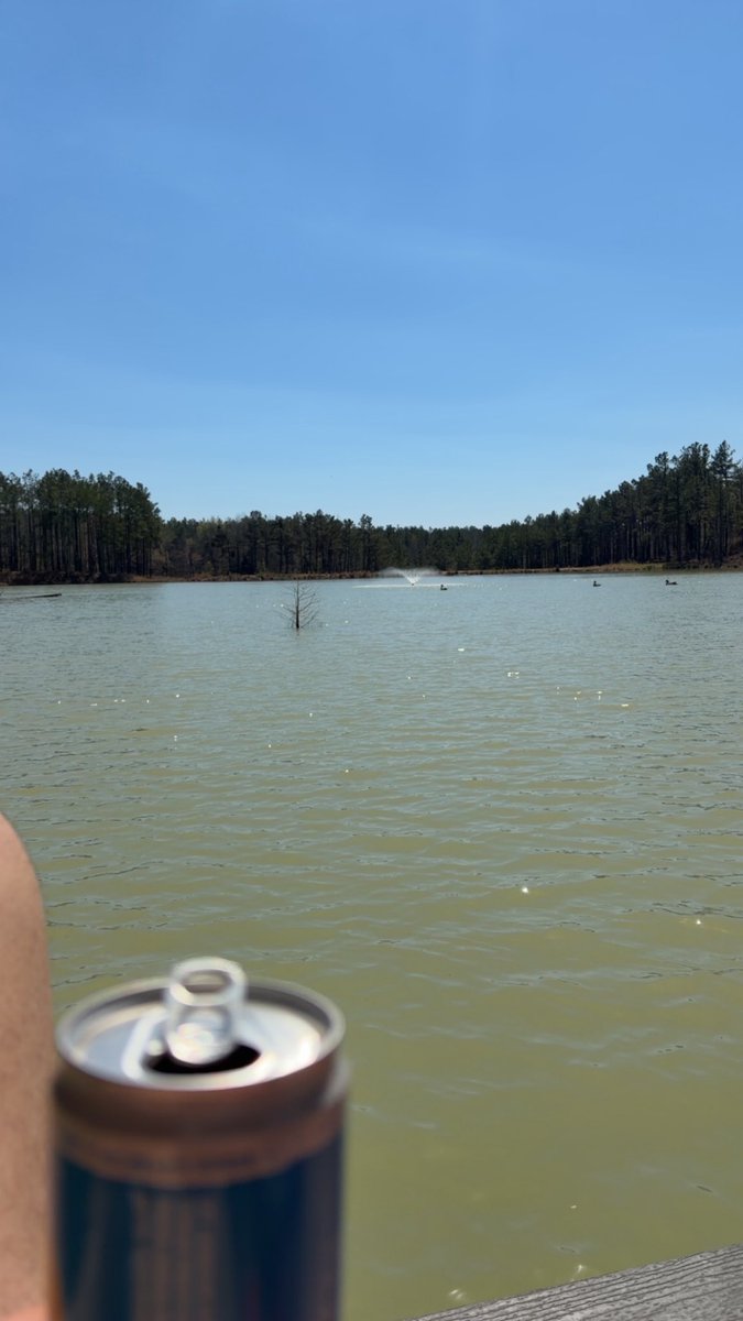 Staff Sergeant Lincoln Osiris 🇹🇹 tweet media