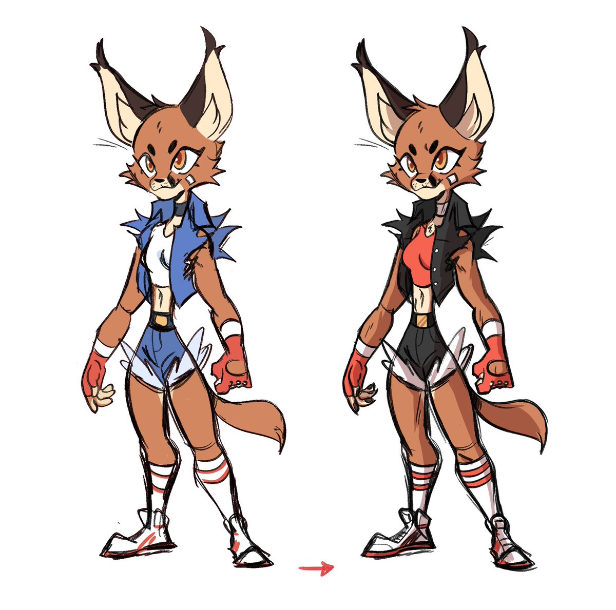 Andy Ayala tweet media