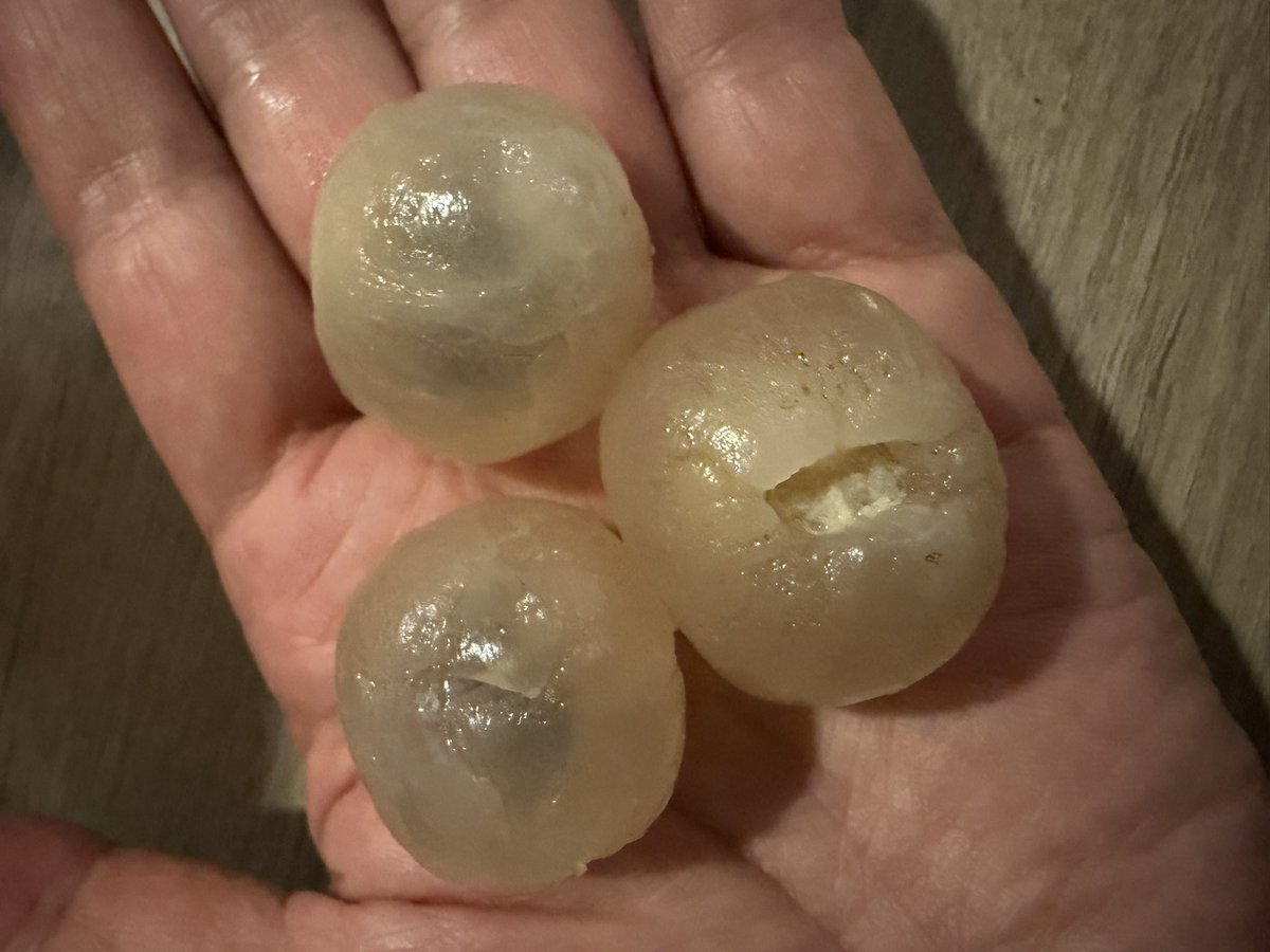 蒼依(ακι)@땡땡이 tweet media