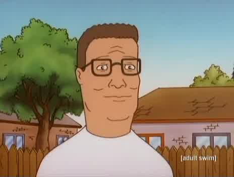 Virginia Political Memes tweet media