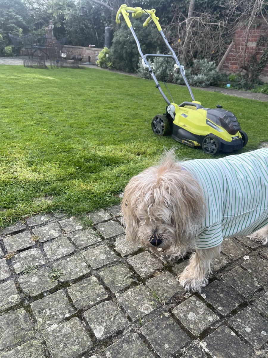 Lord Alfred’s Diary tweet media