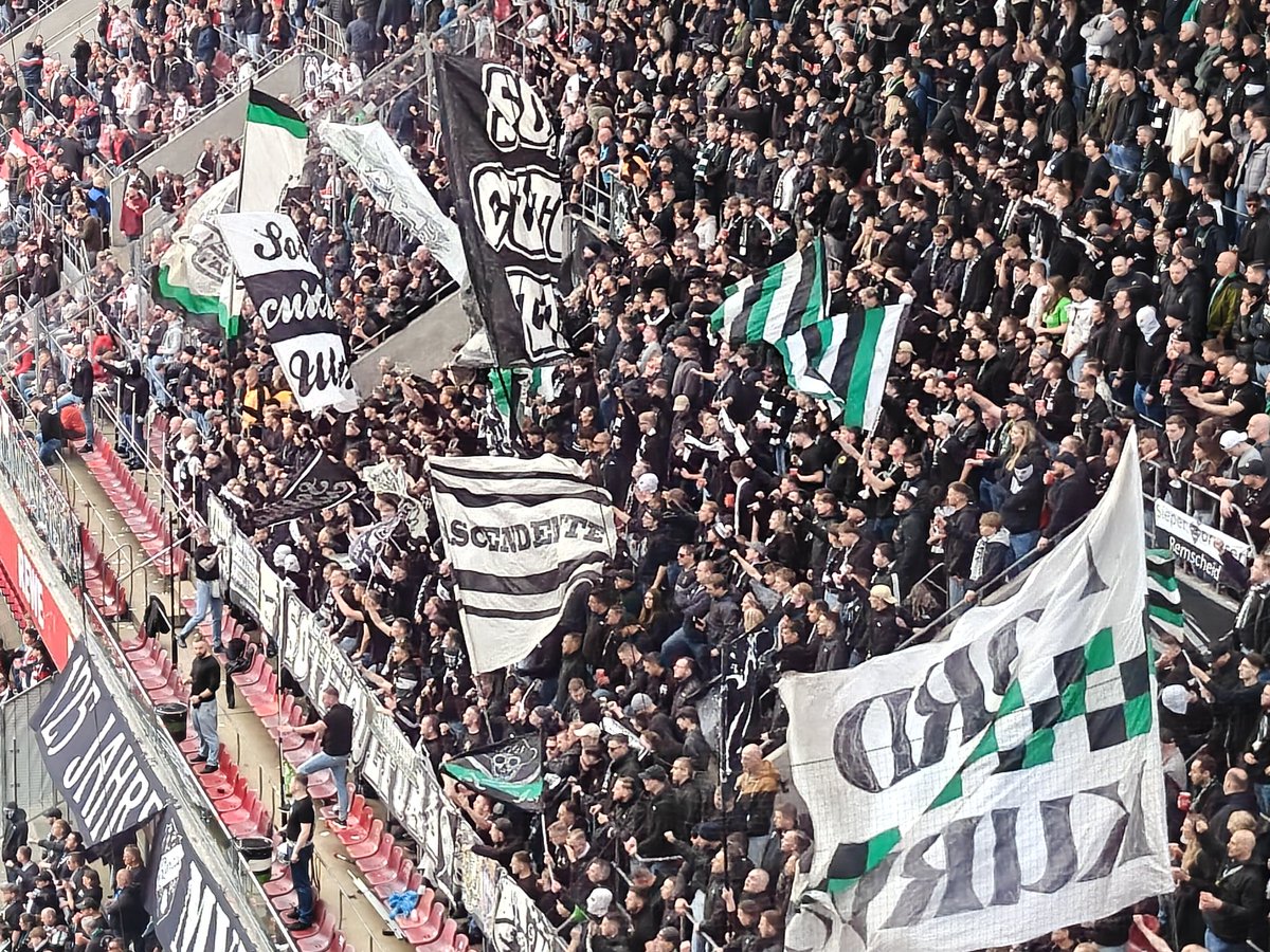 VeryMiloš tweet media