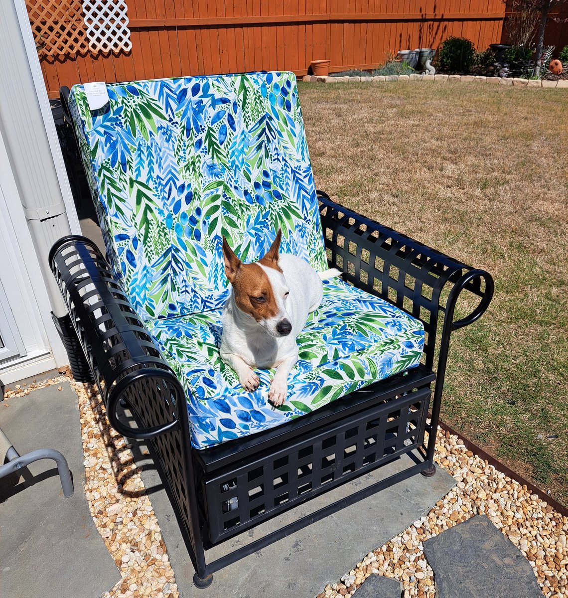 Annie McGee tweet media