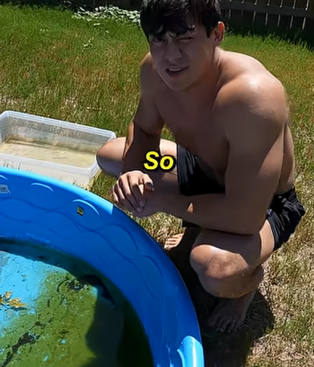 eek33 (hazenoki fan) tweet media