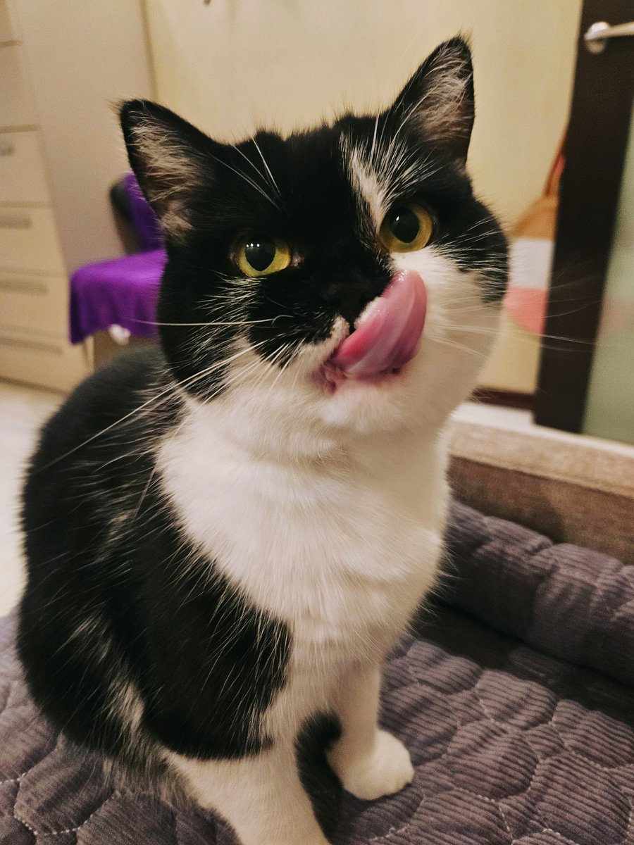 Olga1809 tweet media