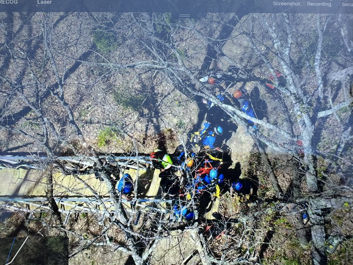 HamCoTNES tweet media