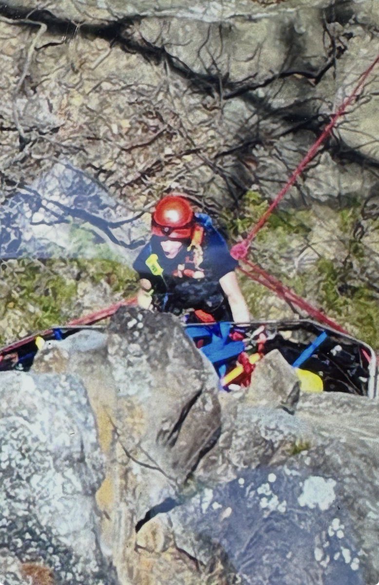 HamCoTNES tweet media