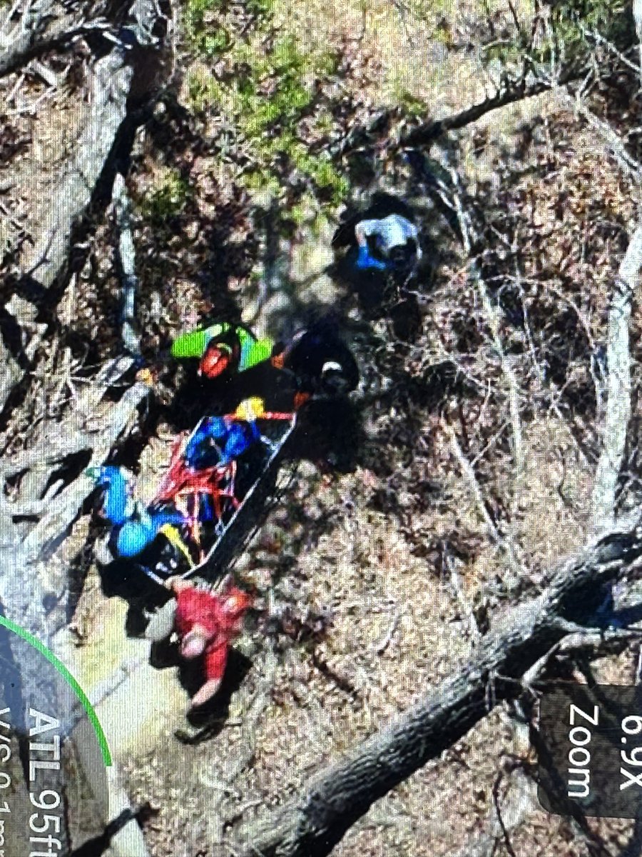 HamCoTNES tweet media