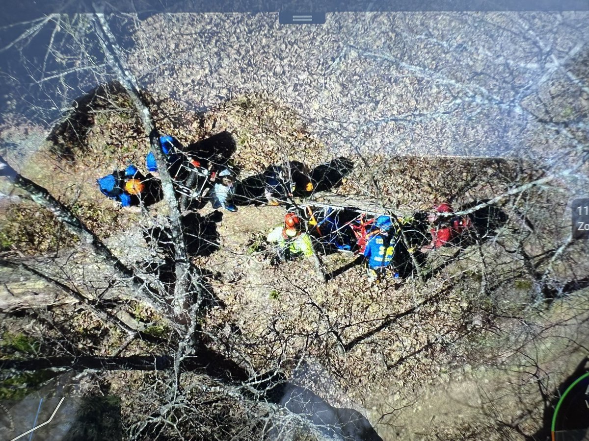 HamCoTNES tweet media