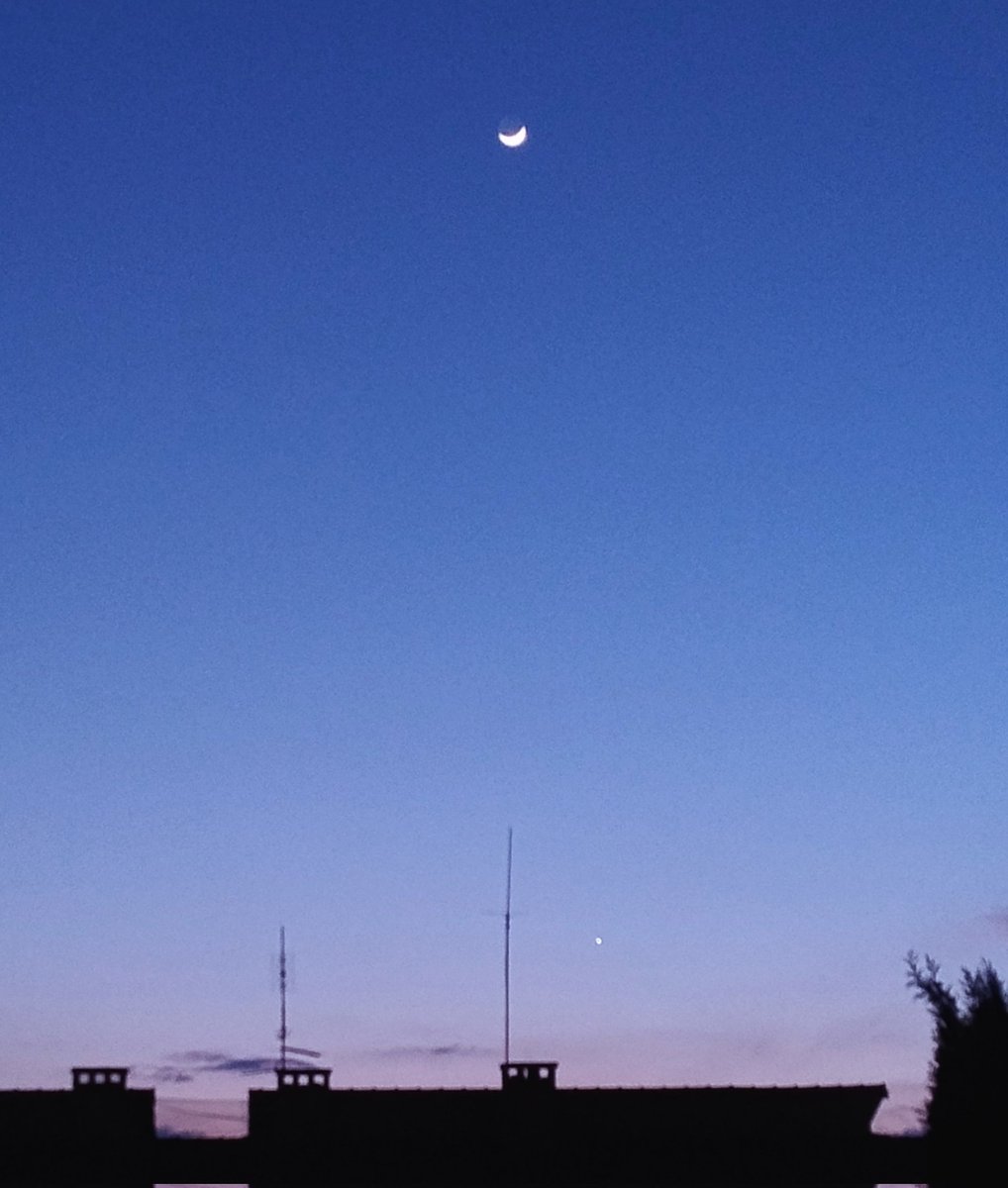 Francesca Coli tweet media