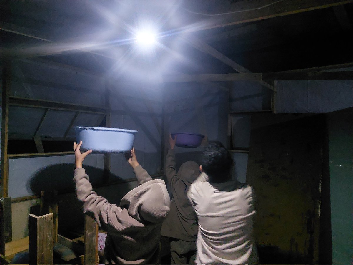 dr. mohammed hamad - Gaza tweet media