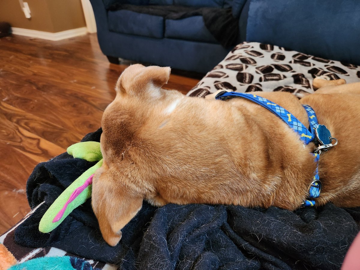 Dave Hines 💙🎗 tweet media