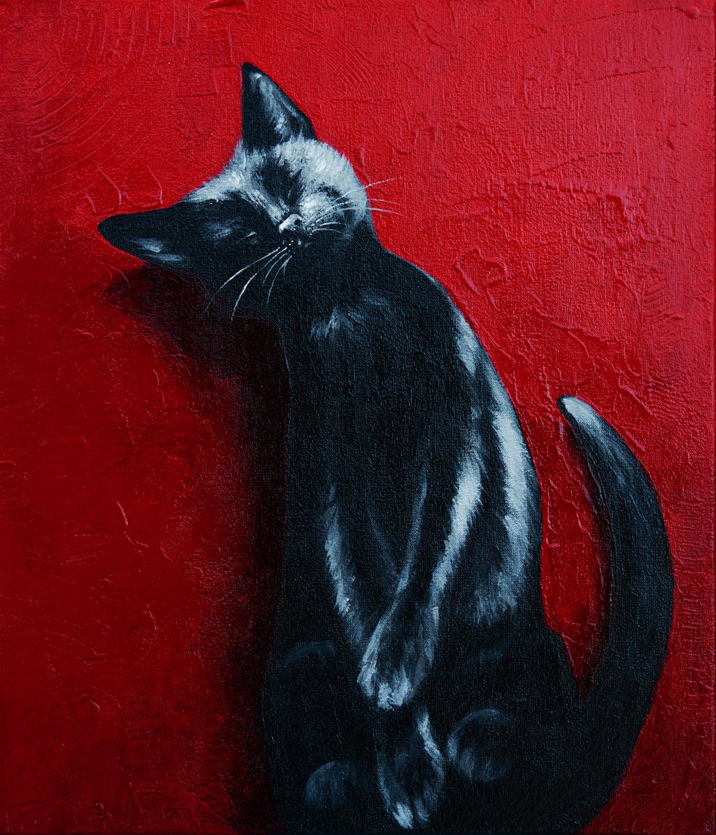 Anna Shee tweet media