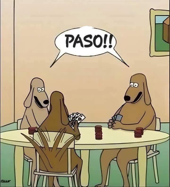 𝕮𝕬𝕭𝕬𝕷𝕷𝕰𝕽𝕺 🖤 𝕹𝕰𝕲𝕽𝕺 tweet media