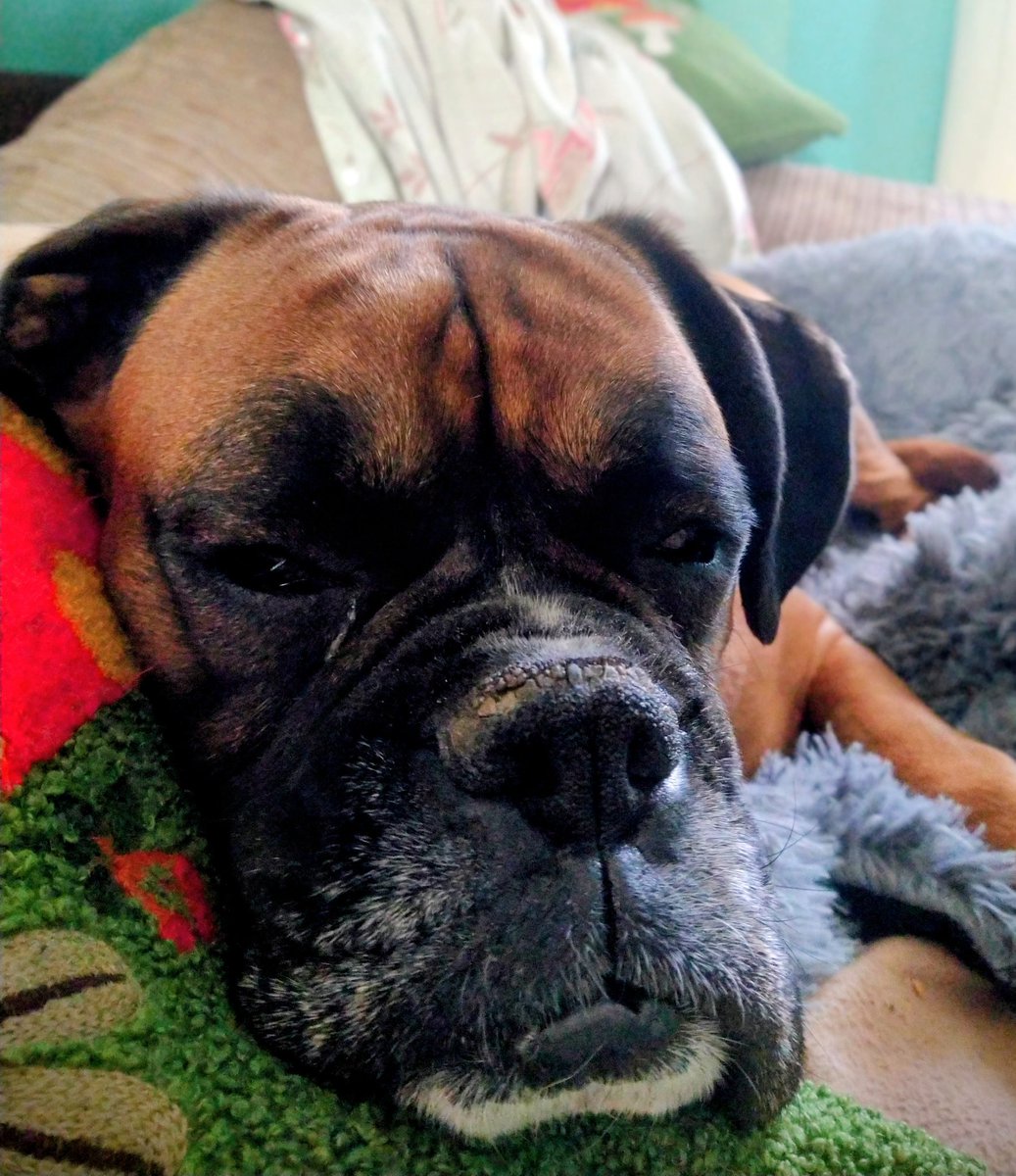 jason sparks (r.i.p frazz) tweet media